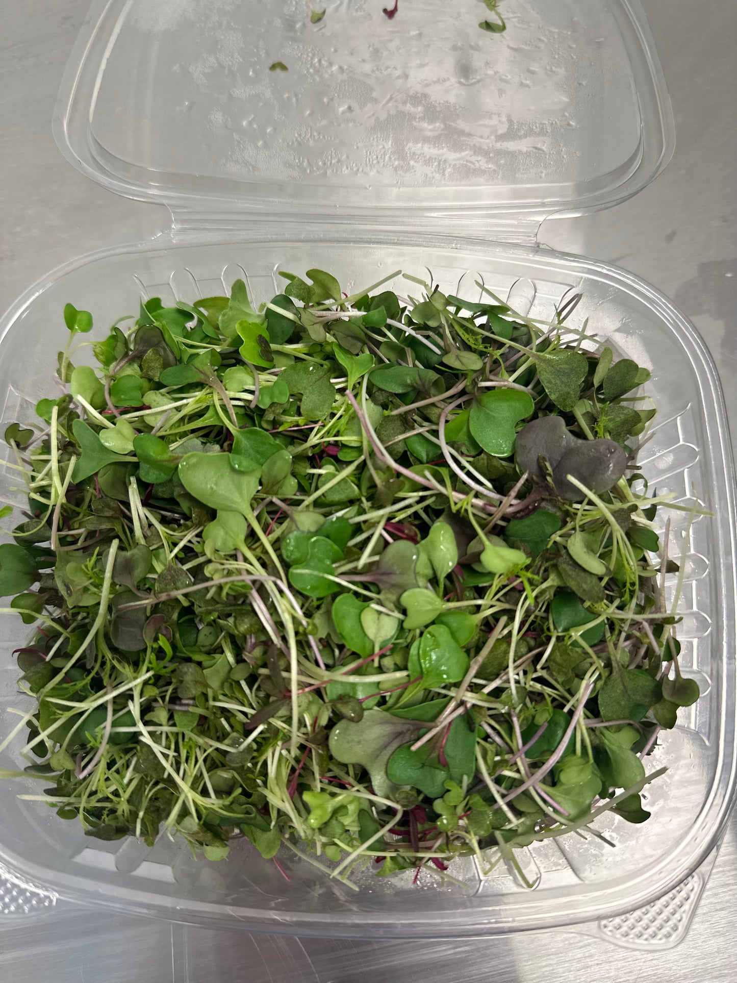 Marvelous Mix Microgreens (2oz)