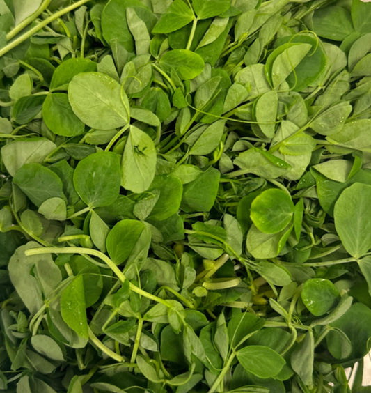 Pea Shoots (8oz)