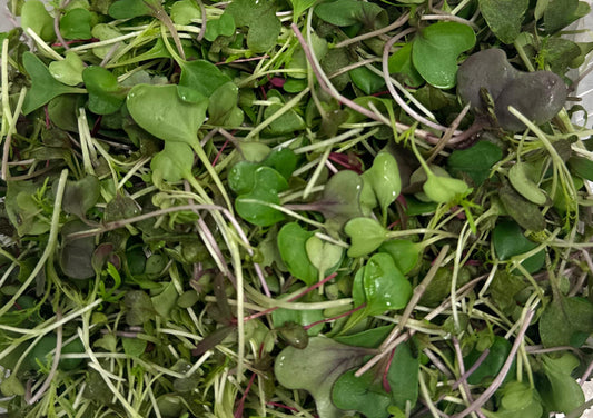 Marvelous Mix Microgreens (4oz)